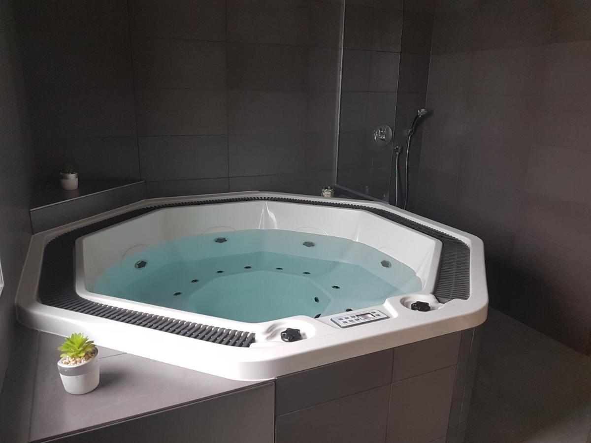 Wellness Hotel Harmonie Trebon Bagian luar foto